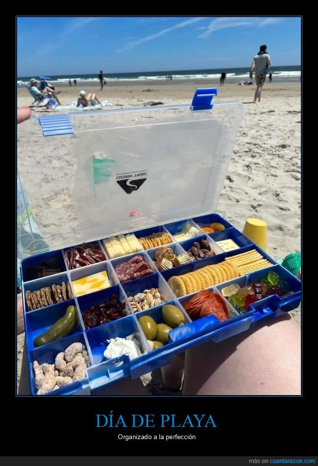 playa,comida,organización