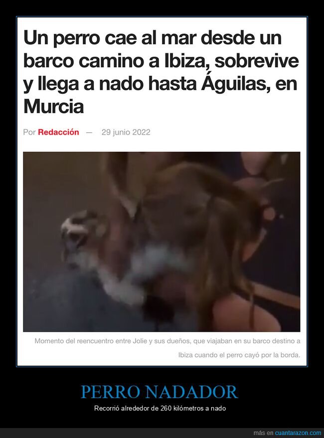 barco,ibiza,mar,muercia,nadar,perros,wtf