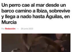 Enlace a Una travesía épica