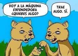 Enlace a A por un tentempié