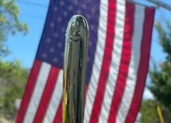 Enlace a Curioso galardón...