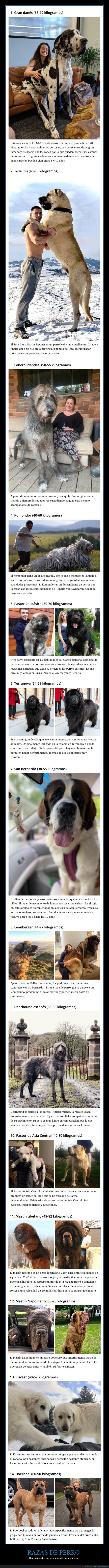 perros,razas,tamaño,peso