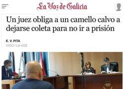 Enlace a Curiosa decisión judicial