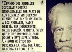 Enlace a No se puede ser indiferente ante el maltrato