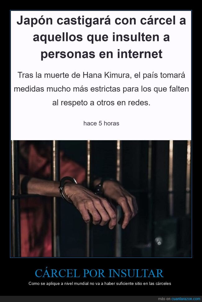 cárcel,insultar,internet,japón