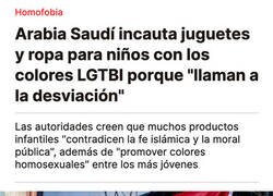 Enlace a Los países árabes continuan con su absurda persecución