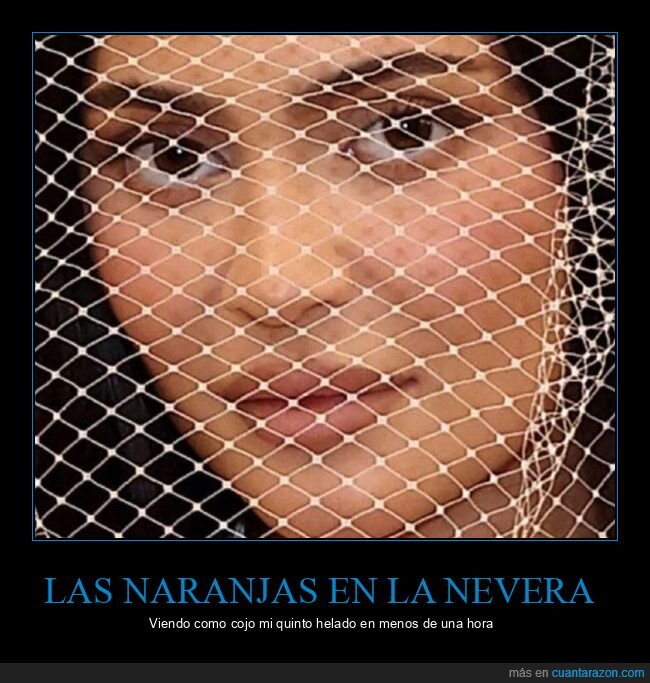 naranjas,nevera,helado