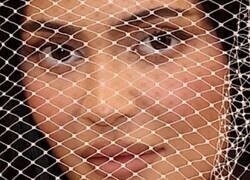 Enlace a Mirada acusadora a través de la malla