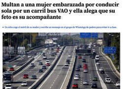 Enlace a El feto acompañante