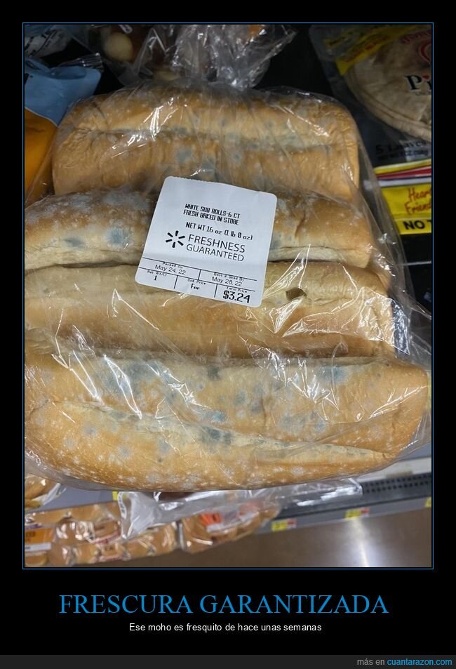 fails,frescura,moho,pan