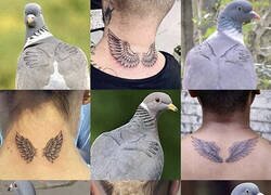 Enlace a Lo mismo es...