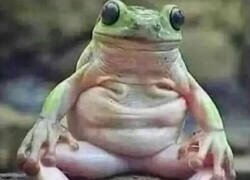 Enlace a Ese incómodo momento...