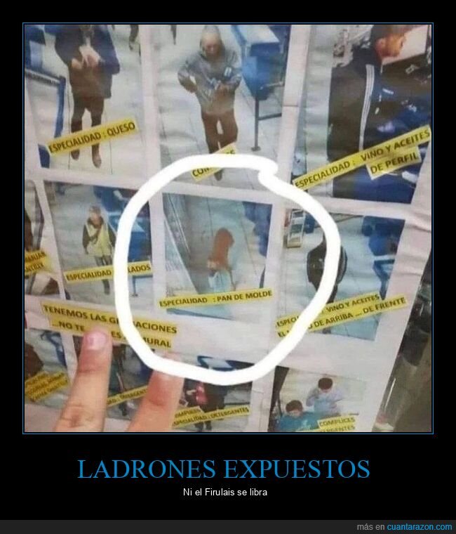 ladrones,supermercado,perro