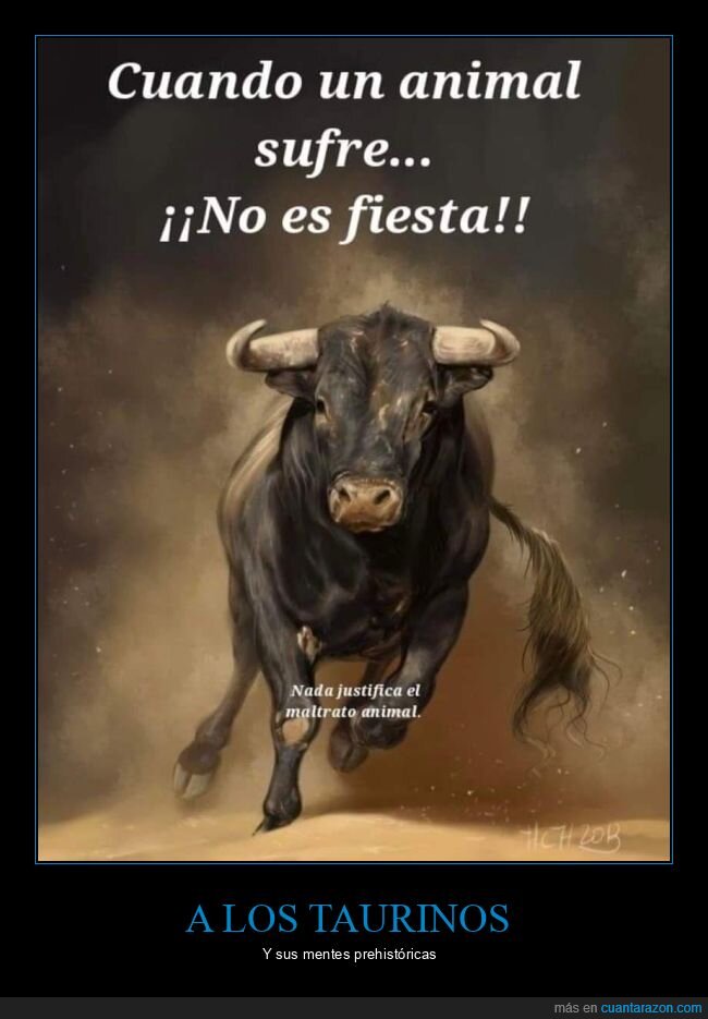 animal,sufrir,fiesta,toros