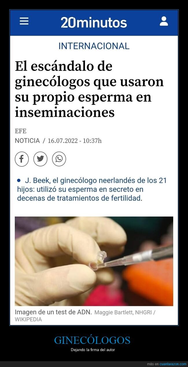 ginecólogos,inseminaciones