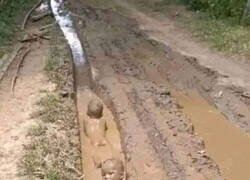 Enlace a Camino equivocado