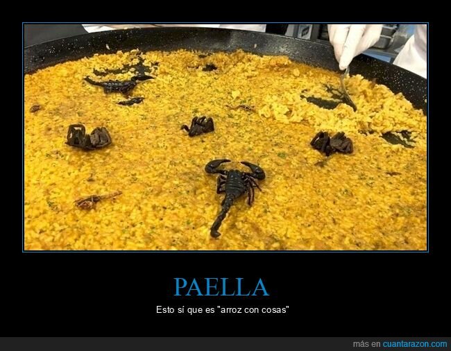 escorpiones,paella,wtf