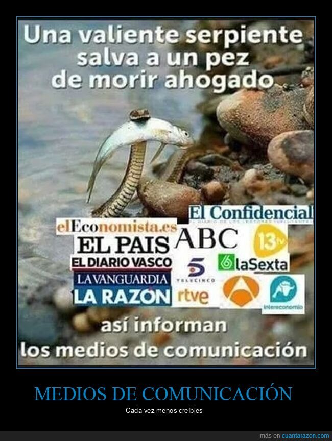 medios de comunicación,pez,salvar,serpiente