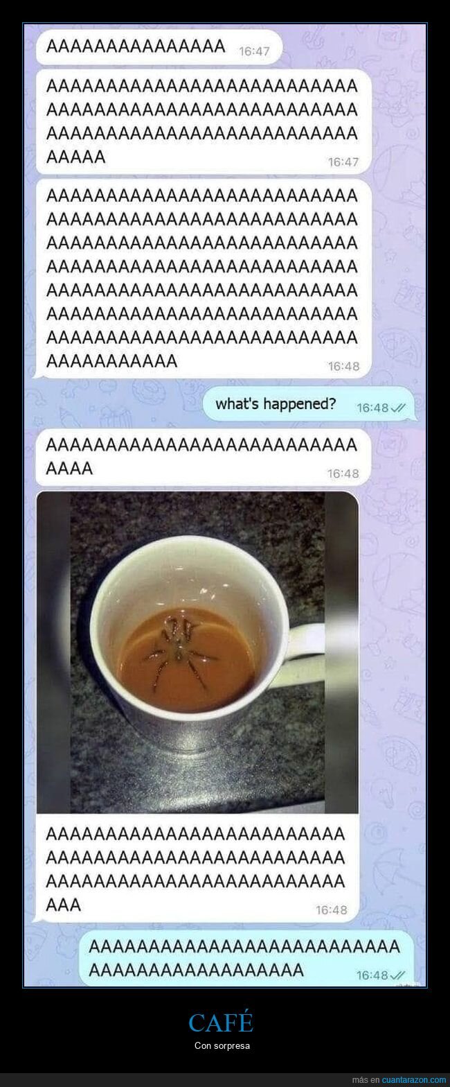 café,araña,wtf