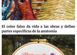 Enlace a Modelos bordados muy meticulosos de la anatomía humana y animal