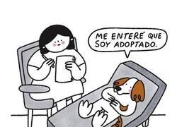 Enlace a Descubrimiento inesperado