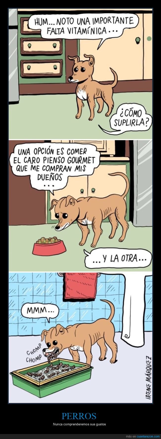 perro,comida