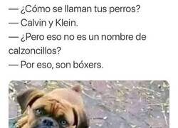 Enlace a Los mejores nombres posibles