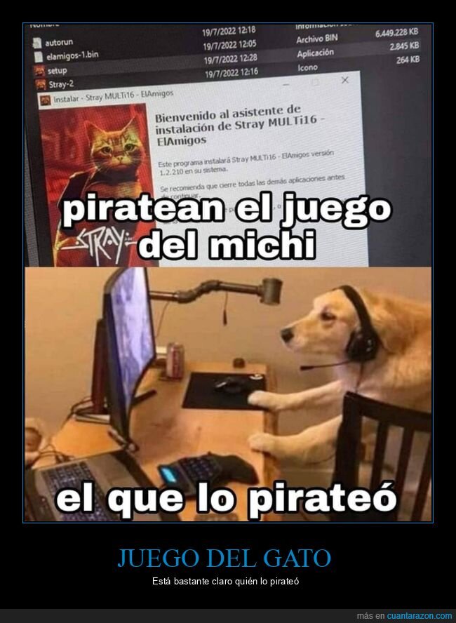 videojuego,gato,perro,piratear,stray