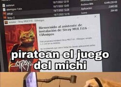 Enlace a El pirata ha sido identificado