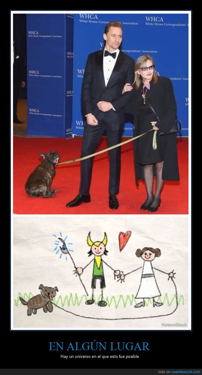 carrie fisher,dibujo,leia,loki,tom hiddleston