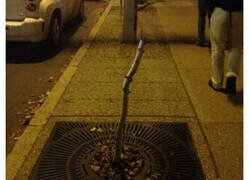 Enlace a Fotos cutres de la Tierra con títulos sarcásticos