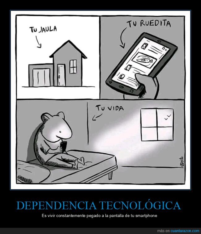 jaula,rueda,vida,hánster,móvil