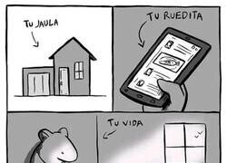 Enlace a Así es la vida actual