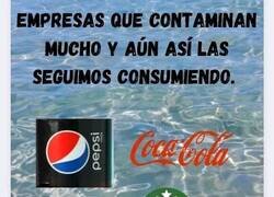 Enlace a A su clientela no parece importarle...