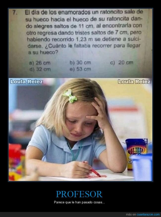 problema,rat&oacute;n,wtf