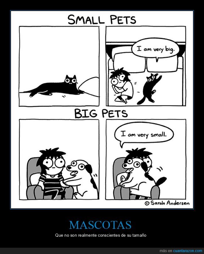 mascotas,grandes,pequeñas,tamaño
