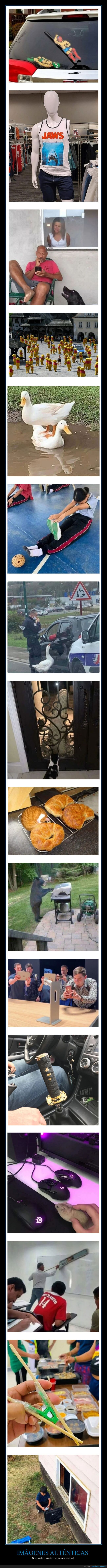 imágenes extrañas,cuestionar,realidad