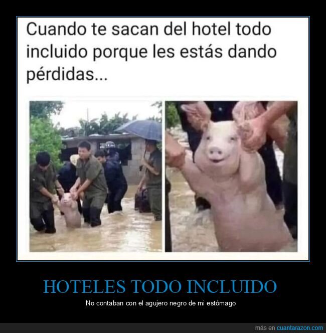 cerdo,hotel,pérdidas,todo incluido