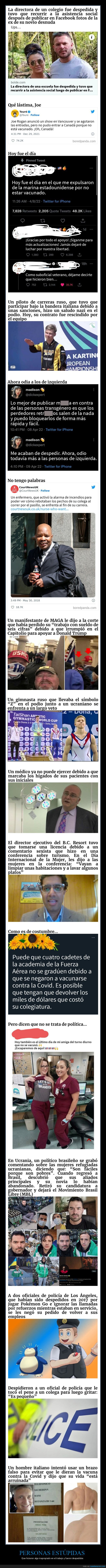 estúpidos,trabajo,despedidos