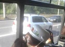 Enlace a Protegida