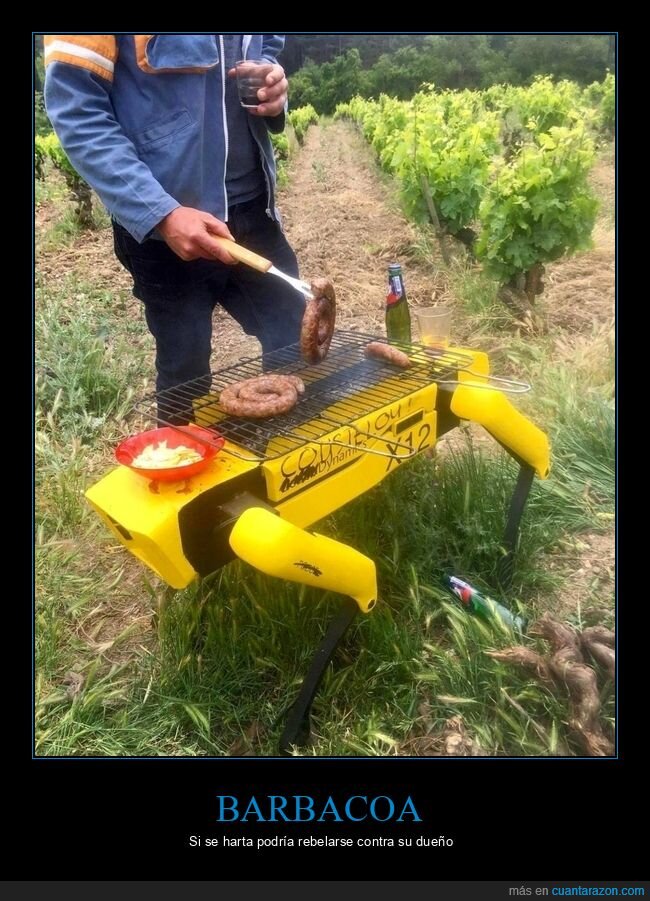 barbacoa,robot,wtf