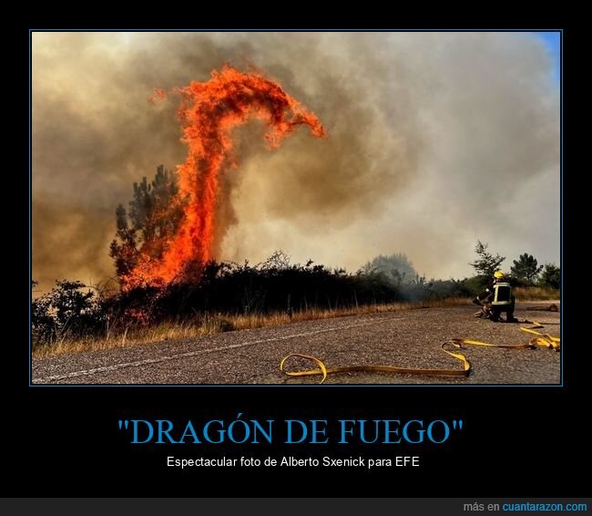 dragón de fuego,bombero,fuego