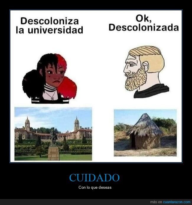 descolonizar,universidad