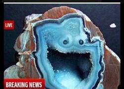 Enlace a El parecido con el Monstruo de las Galletas es inquietante...