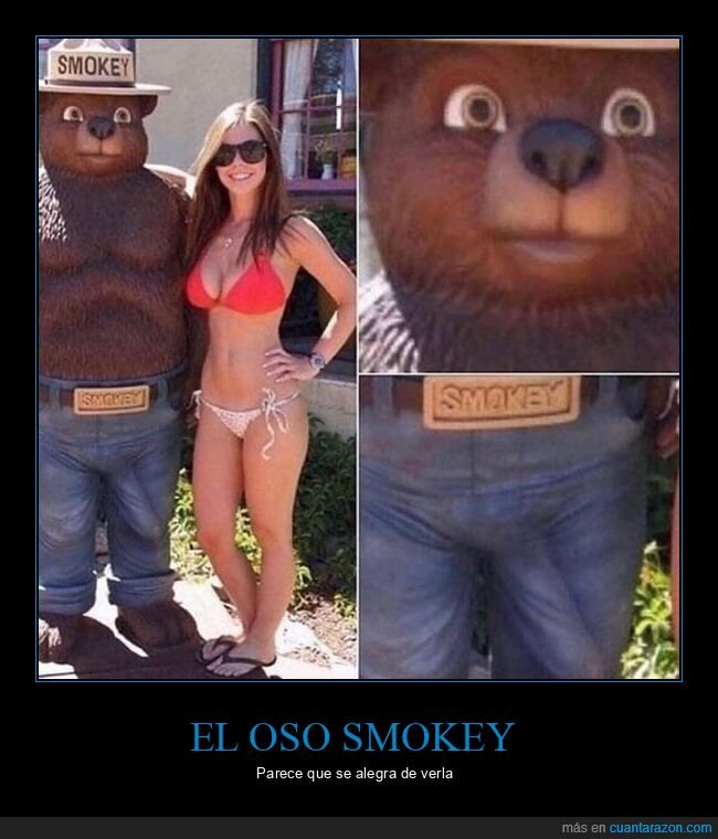 oso,wtf