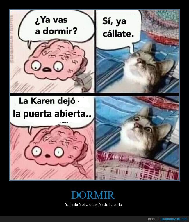dormir,cerebro,gato,puerta