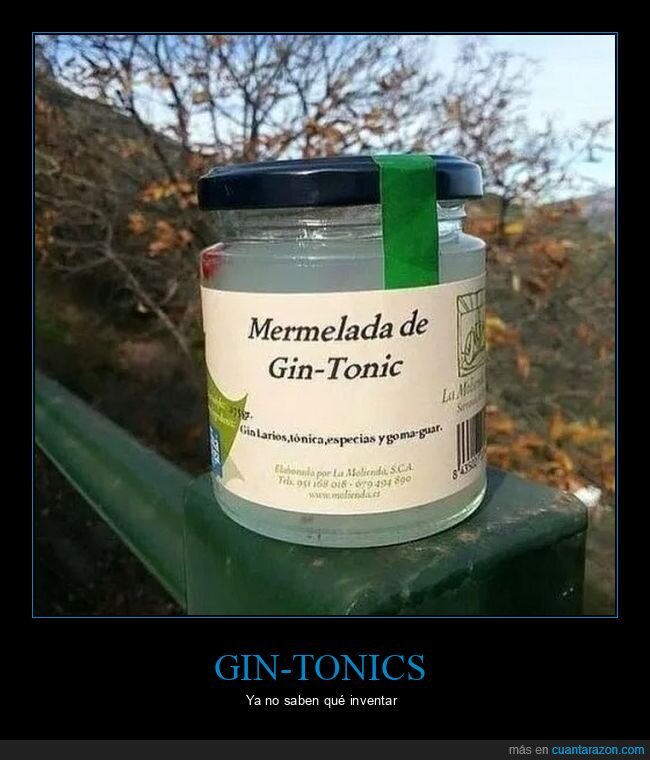 gin tonic,mermelada