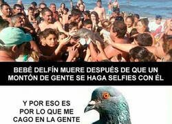 Enlace a Cosas que te hacen perder la fe en la raza humana