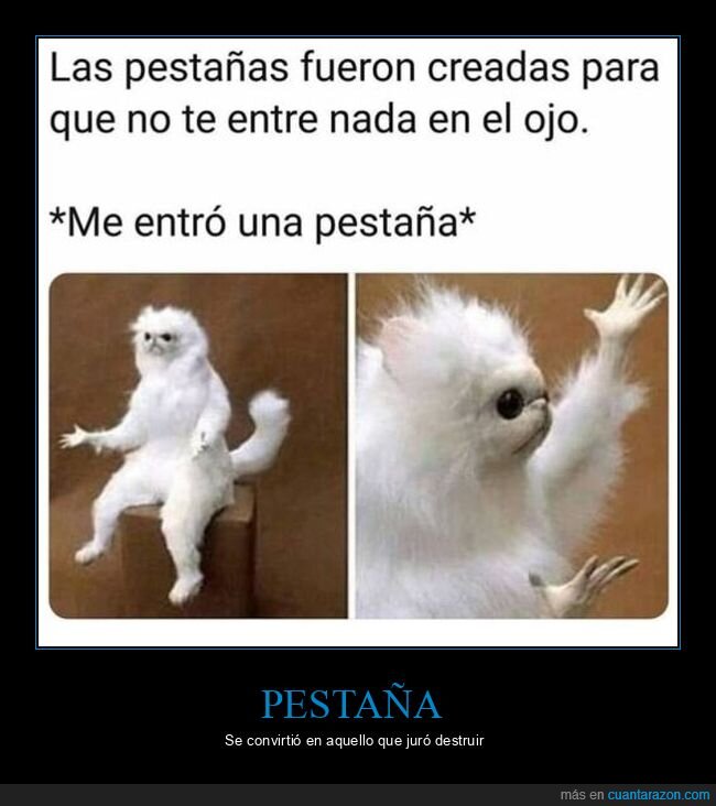 pestañas,entrar,ojo