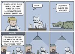 Enlace a Un equipo preparadísimo